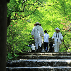 shikoku